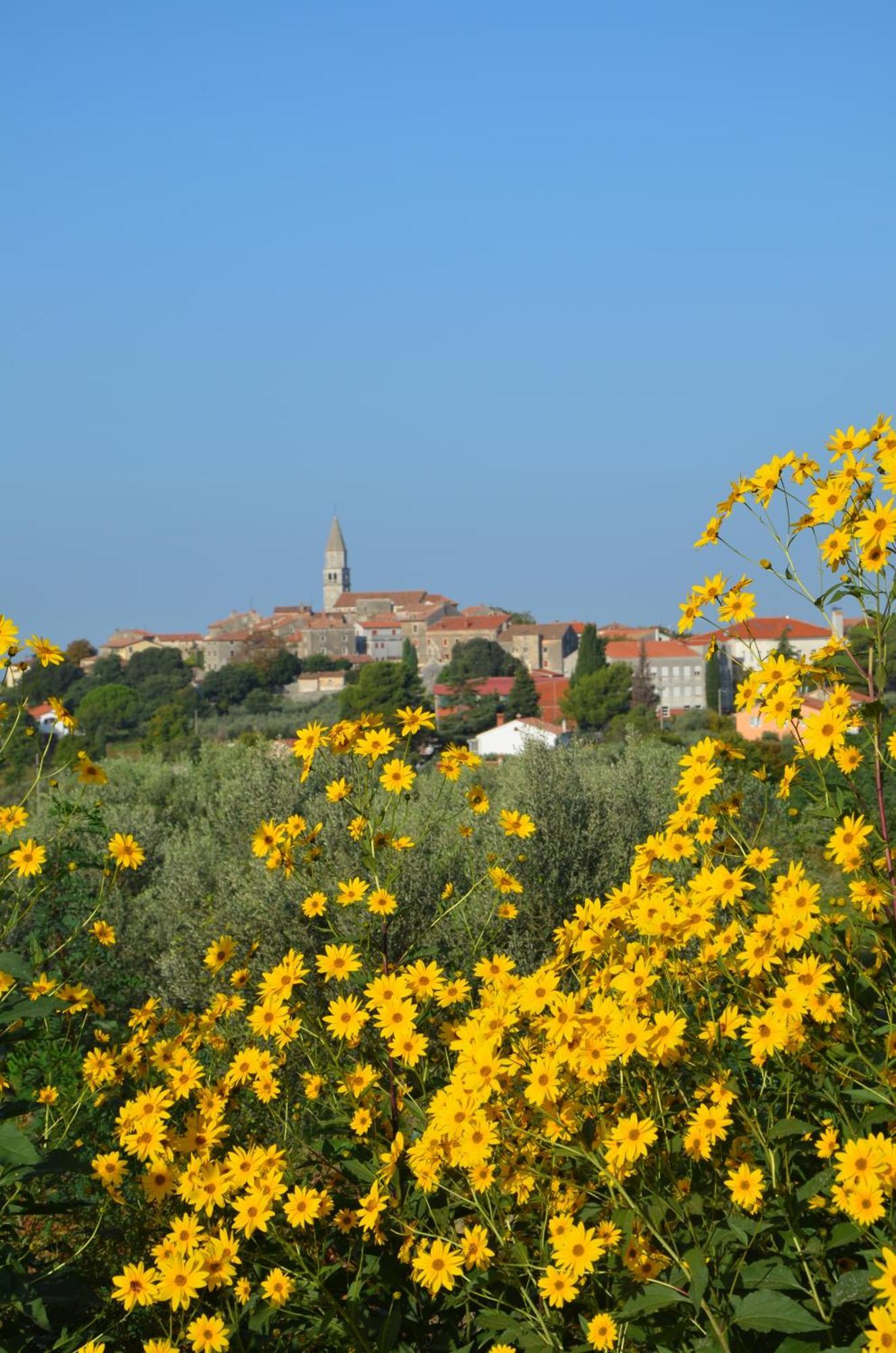 Villa Leopoldo By Istrian Country Houses Barat  Extérieur photo