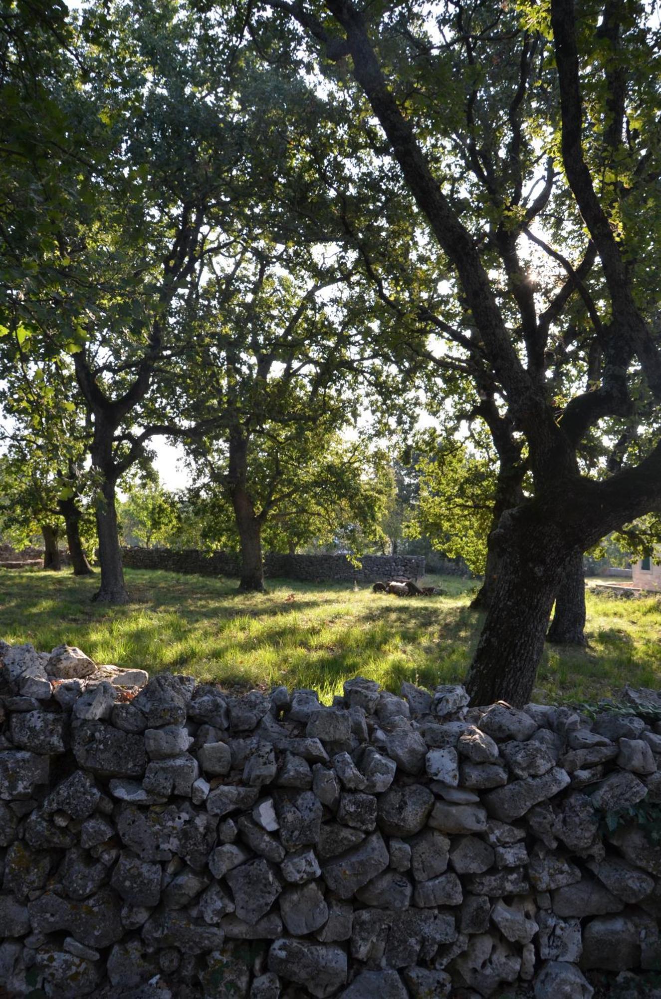 Villa Leopoldo By Istrian Country Houses Barat  Extérieur photo