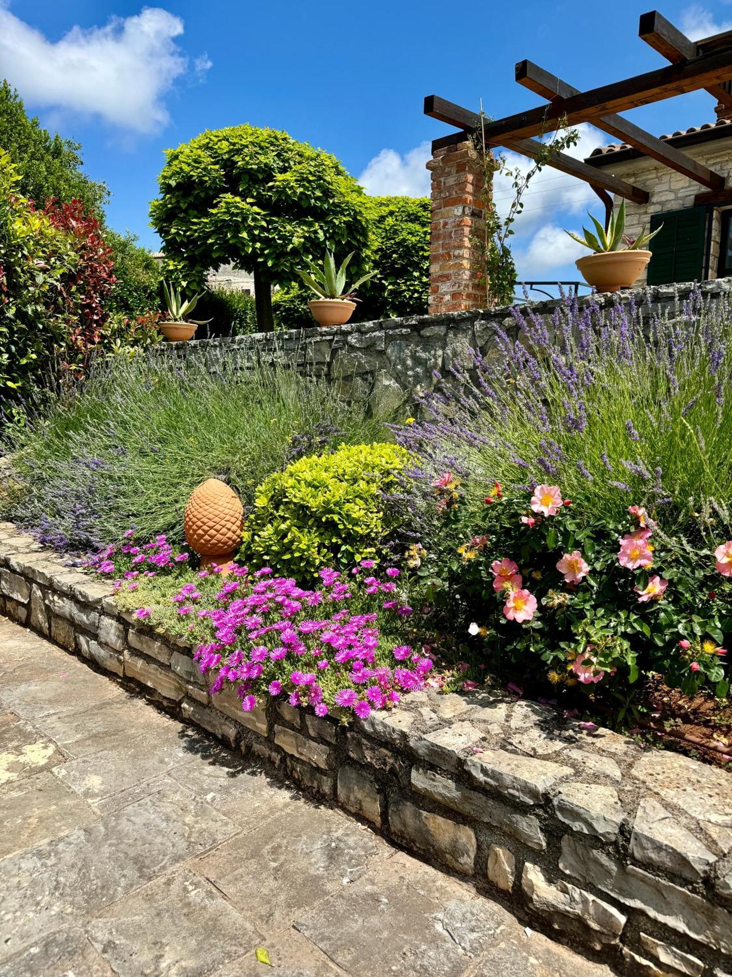 Villa Leopoldo By Istrian Country Houses Barat  Extérieur photo